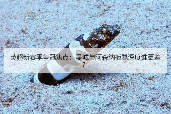 ying-chao-xin-sai-ji-zheng-guan-jiao-dian-man-cheng-yu-a-sen-na-ban-deng-shen-du-shui-geng-cha-2-257.jpg